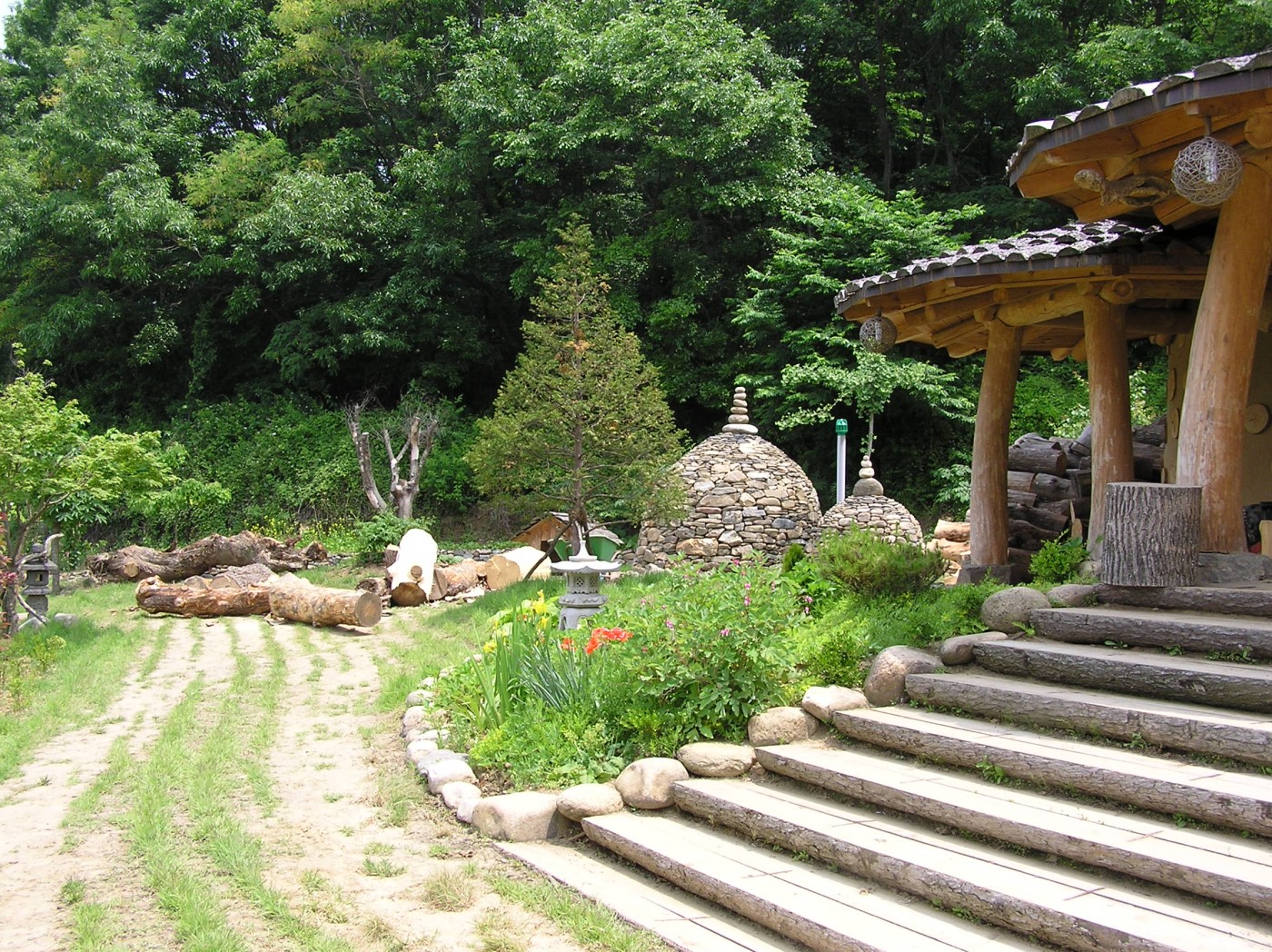 110812_naryunoki220705.JPG